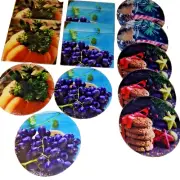 lot of 12 Cutting Boards holiday Tempered Glass Trivet