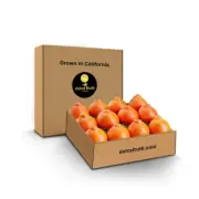 Dolce Frutti Minneola Tangelos – Grown in California, Fresh, Sweet & Juicy