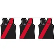 Essendon Bombers Party Bunting