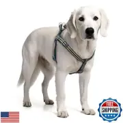Tiffpaws Stripe Step in Harness for Small Dogs, Freedom No Pull Nylon Dog Hal