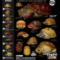在飛比找蝦皮購物優惠-台灣現貨 動物星球~心寬體胖系列 第八彈 蛋龜窄橋紅面蛋龜枯