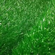 Grass Carpet Weather Resistant 300x450cm, Artificial Grass Turf Outdoor with Drainage Holes Pet Friendly, Realistic Synthetic Turf Mat, for Gym Patio Balcony Playground Backyard