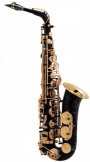 Selmer Paris SA80 Series II Alto Saxophone Jubilee in Black