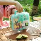 Double Layer Picnic Box Compartmental Salad Box Handle Design Lunch Box Worker