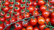 Tomato Cherry Cocktail 15 Seeds