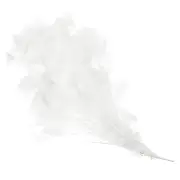 10-12 Inch Turkey Feathers, 1 Set Fluffy Bulk Natural Feathers, White
