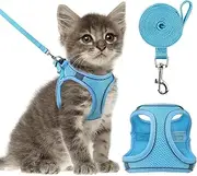 Walking pet Harness and Leash Set: Step in Vest Harness,Reflective Bands, Soft No Pull Adjustable Breathable Mesh Leash and Harness Vest Belt for Puppy,Small,Medium Dogs and Cats(.XS -Small, Blue)