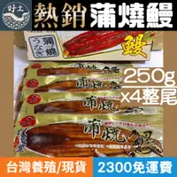 在飛比找蝦皮購物優惠-現貨+發票🔥即買享折扣🔥鰻魚禮盒 蒲燒鰻 蒲燒鰻魚 鰻 鰻魚