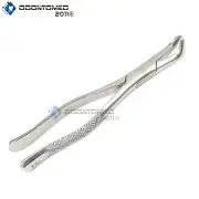 Dental Extracting Forceps 222, Dental Instruments Tools