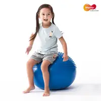 在飛比找momo購物網優惠-【Weplay】飛碟觸覺球(40cm)