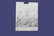 Orig illustration pen & ink Michael Terry signed Botrychium mormo, goblin fern