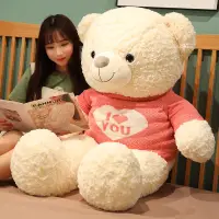 在飛比找蝦皮購物優惠-泰迪抱心毛衣熊毛絨玩具愛心love熊熊公仔睡覺抱枕玩偶送女友