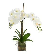 Creative Displays White Orchid Floral Arrangement