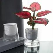 White Flower Pot Transparent Box Planter Nordic Lazy Flowerpot