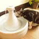 免運 寵物飲水器 好好喝水DRINKWELL寵物飲水機狗狗360度自動循環貓水機