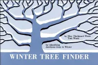 在飛比找博客來優惠-Winter Tree Finder: A Manual f