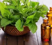 +30ml+ Patchouli Essential Oil For Natural Perfume Skin Aromatherapy Diffuser