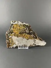 Seymchan Meteorite Slice 494g