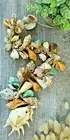 Sea Shell 100cm Garland Hanging Windchime Boho Coastal Natural Rustic Beach Art