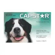 Capstar Flea Treatment Large Dogs over 11kg Kills Adult Fleas