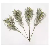 House No. 9 by Home Love Set of 4 Olive Branch Picks 19" Tall Home Decor New