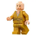 |樂高先生| LEGO 樂高 75190 STAR WAR 星際大戰 軍團斯諾克 SNOKE 拆盒人偶 全新正版 可刷卡