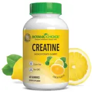 creatine monohydrate gummies for men women lemon flavor