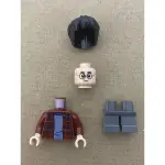 LEGO 樂高 人偶 哈利波特 哈利波特 75953 40452
