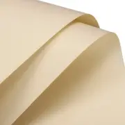 Pearlescent Film Flower Wrapping Paper 22.8x22.8 Inch Khaki Pack of 19