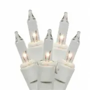 Vickerman W5W0501 50Lt Clear-Ww Ec Lock Set 5.5 in. Sp 23 ft. L Bx