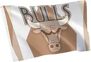Desert Cactus Chicago Bulls Flag NBA 100% Polyester Indoor Outdoor 3x5 feet National Basketball Association Team Flags (Flag City Edition 24-25 A)