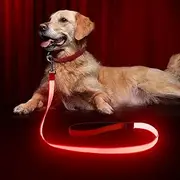 LED Dog Leash Light Up Dog Leash 4 Feet Micro USB Rechargeable Nylon Webbing Glow Safety Standard Dog Leash for Dogs by Bpawser (Red)