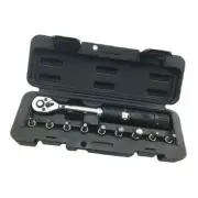 Wisretec 1/4"DR 2-14Nm Bike Preset Torque Wrench Set Ratchet Torque Spanner