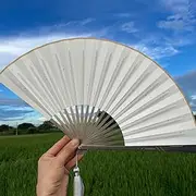 [Generic] Tc4 Titanium Alloy Fan, Martial Arts Metal Defense - Tai Chi Morning Practice, Modern Home Deco, Chinese Kung Fu Fan, Smooth Opening And Closing, High Hardness, Long Service Life