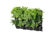 Maze TRI Vertical Garden With 4 Frames And 12 Pots
