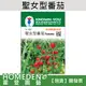 【台灣現貨】聖女型番茄 V-191 水果種子 農友牌 小包裝種子 約20粒/包【HOMEDEN霍登園藝】