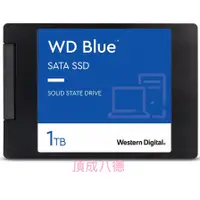 在飛比找蝦皮商城優惠-WD 藍標 SA510 1TB 2.5吋 SATA SSD