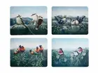 Maxwell & Williams Birds of Australia 10 Year Placemat & Coaster Set (8 items)