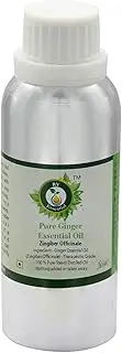 Ginger Essential Oil | Zingiber Officinale | Pure Ginger Oil | For Face | For Hair Growth | For Massage | 100% Pure Natural | Steam Distilled | Therapeutic Grade | 630ml | 21oz By R V Essential