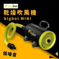 在飛比找Yahoo!奇摩拍賣優惠-澳洲原裝進口 單馬達乾燥吹風機 bigboi MINI 低噪