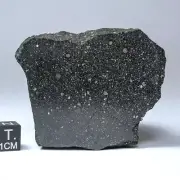Murchison meteorite. CM2 with pre-solar grains. Endcut - 155,5g