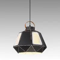在飛比找momo購物網優惠-【Honey Comb】復古工業風金屬單吊燈(EL-1483