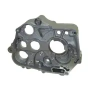 Right Crankcase For Daytona Anima FDX FLX 190 190cc 4V Engine Dirt Bike