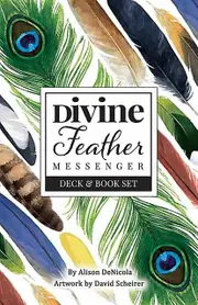 Divine Feather Messenger by David Scheirer Paperback Book