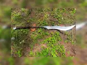 Custom Handmade Carbon Steel Blade Machete Sword | Hunting Sword| Camping