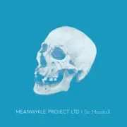 Sir Mandrill by Meanwhile Project Ltd