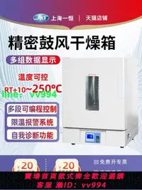 在飛比找樂天市場購物網優惠-一恒精密鼓風干燥箱BPG-9056A-液晶干燥箱恒溫箱實驗室