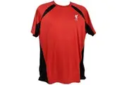 Liverpool FC Childrens/Kids Panel Polyester T-Shirt (Red/Black) (6-7 Years)
