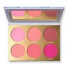 Jaclyn Cosmetics Rouge Romance Matte Blush Palette ROUGE AFFAIR NIB AUTHENTIC