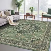 Rugs for Living Room, Lightweight Low Pile Area Rug with Non-Slip Backing Soft